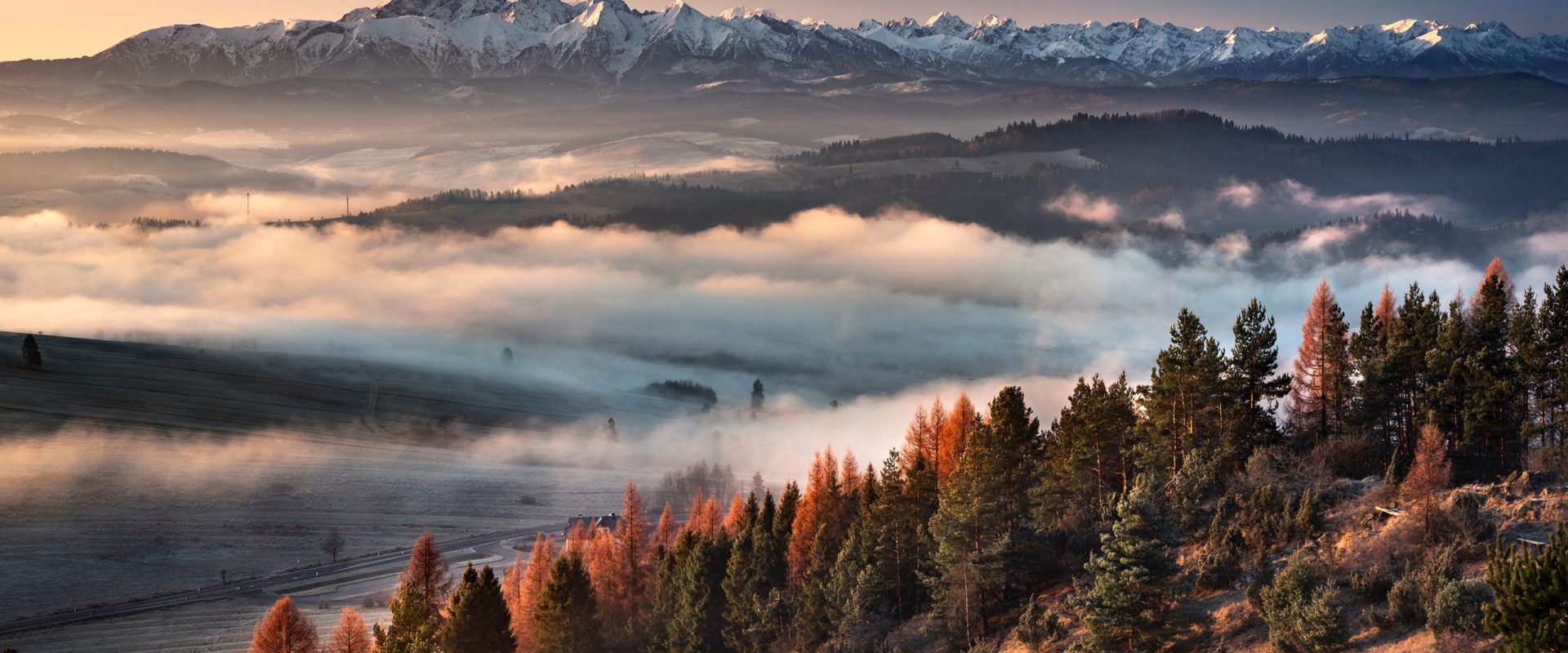 header_photo